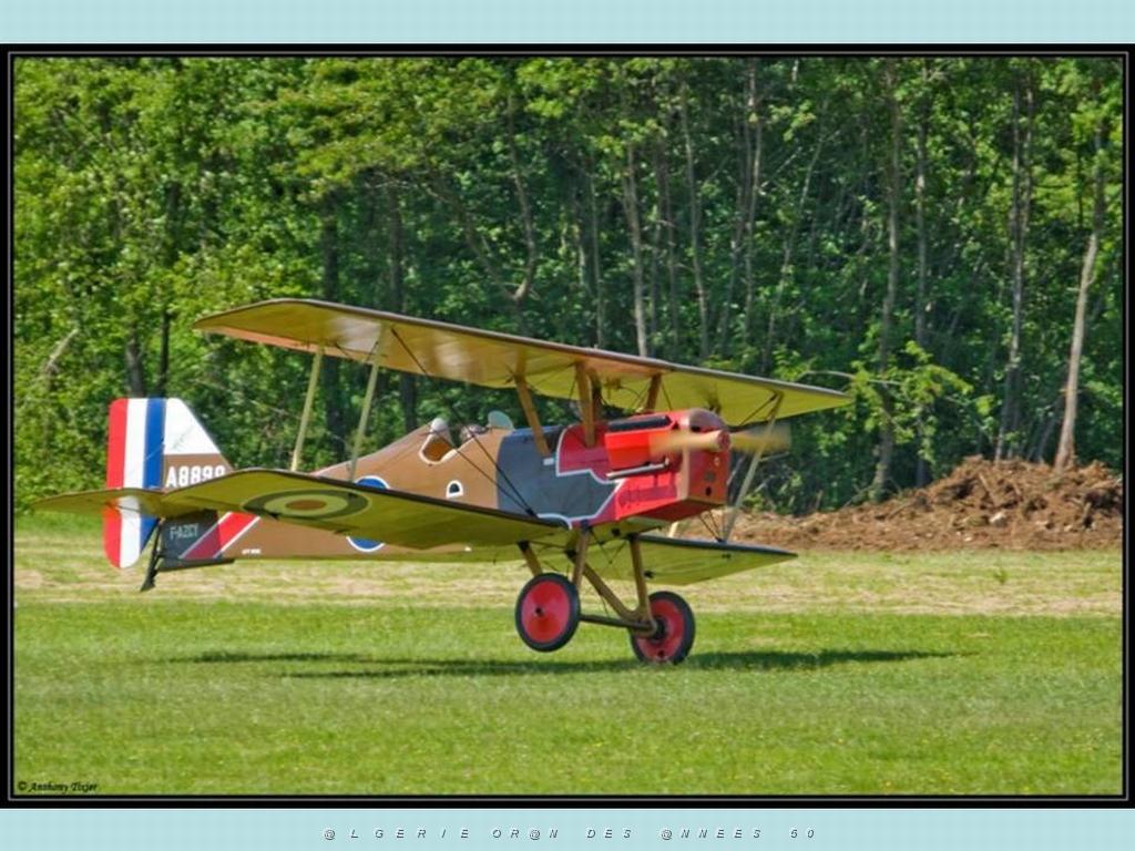 MEETING DE LA FERTE ALAIS 2009 DE JPL   (93).jpg